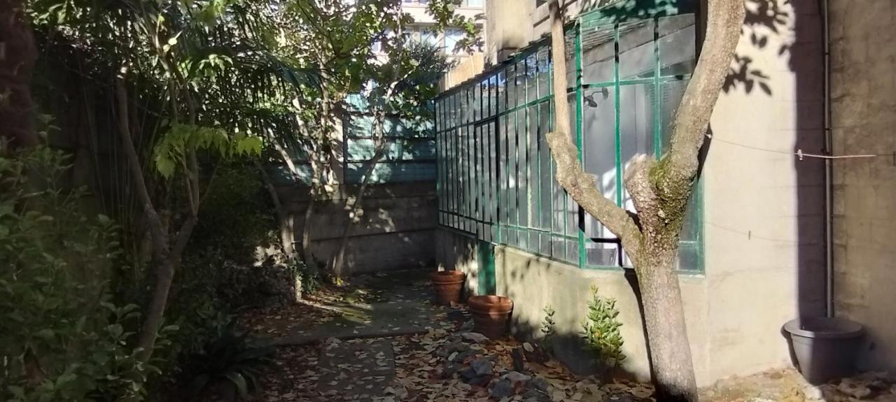 74, Chez Moune Et Mabo Carcassonne Exteriér fotografie